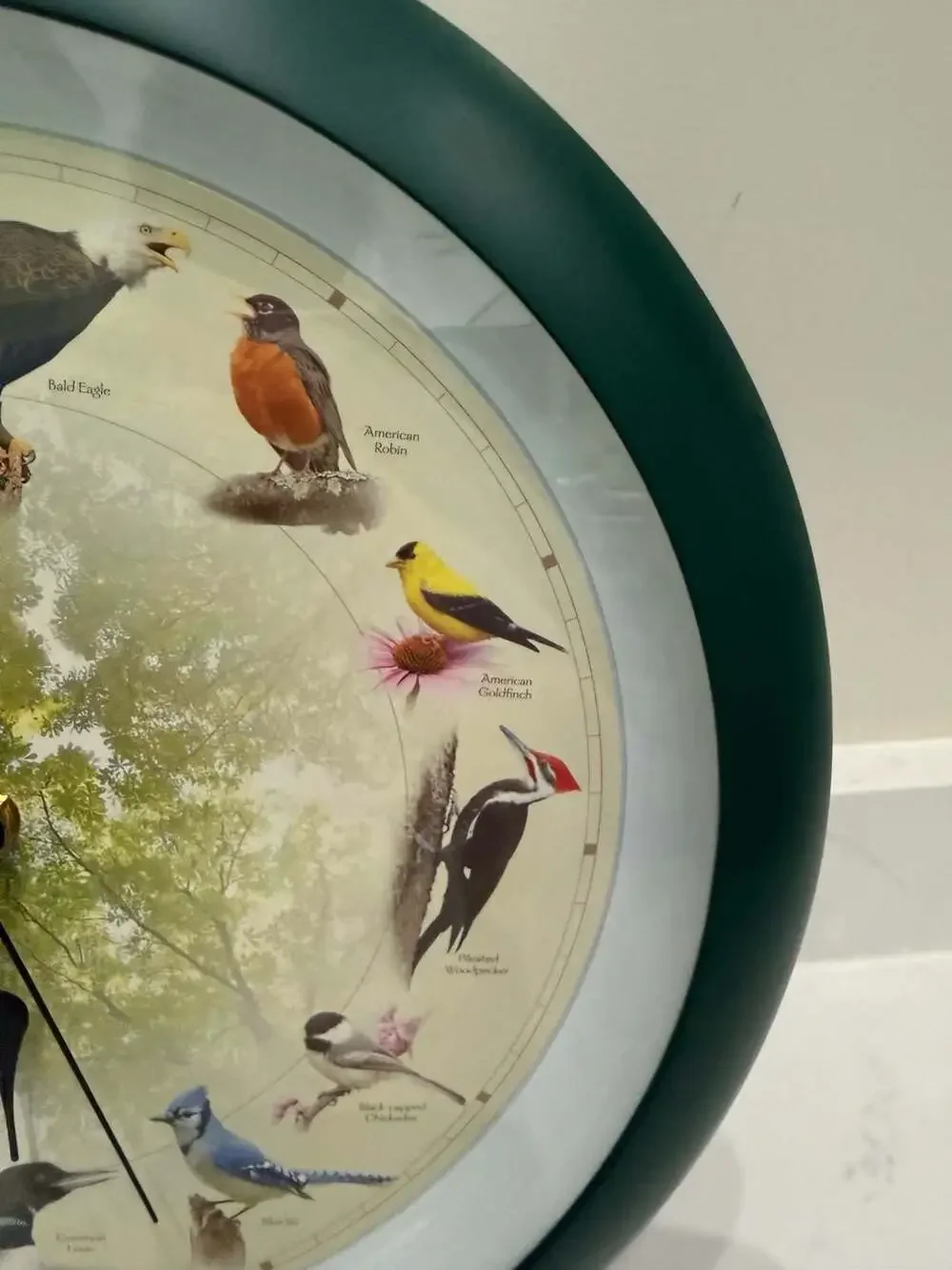 Singing Bird Clock 13” Wall Hanging w/ 12 Hourly Songs & Light Sensor Mute